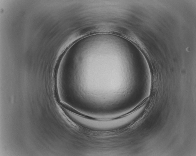 X0000062880795200601201818