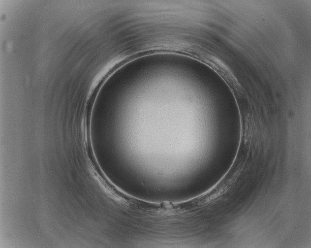 X0000062880796200601201818