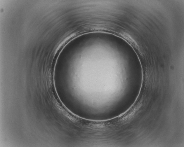 X0000062880798200601201818