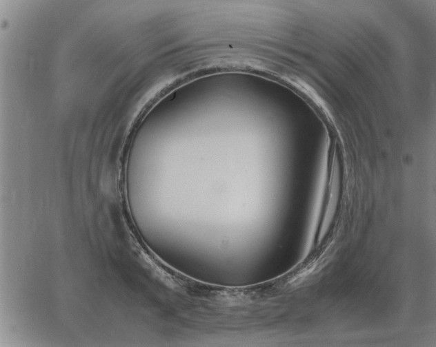 X0000062880799200601201818