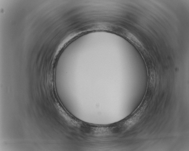 X0000062880800200601201818