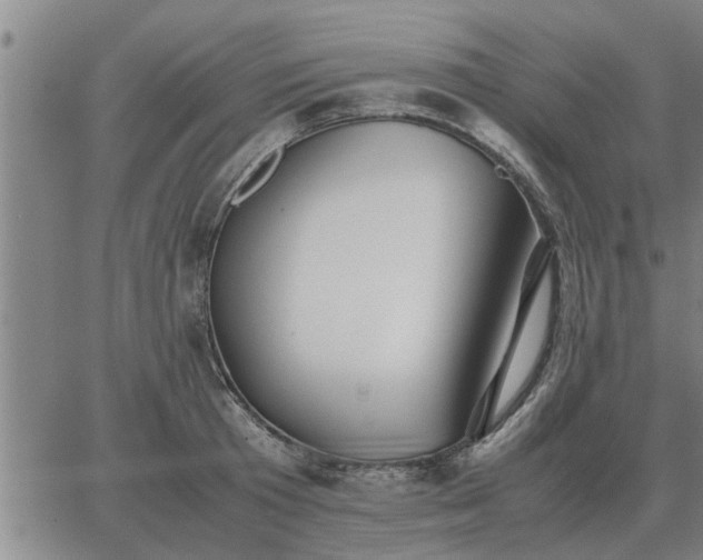 X0000062880801200601201818