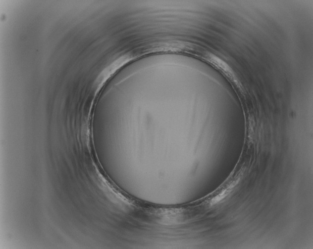 X0000062880802200601201818