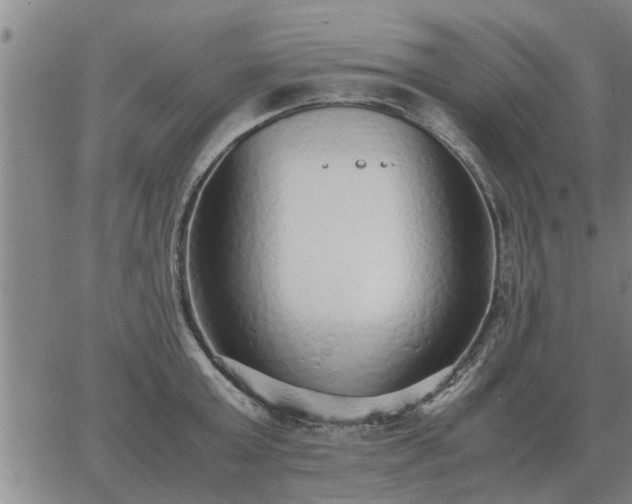 X0000062880803200601201818