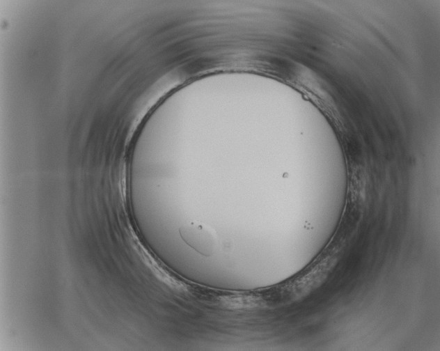 X0000062880804200601201818