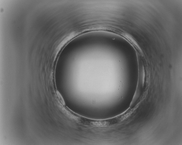 X0000062880805200601201818