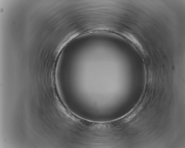 X0000062880806200601201818