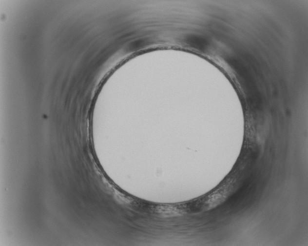 X0000062880807200601201818