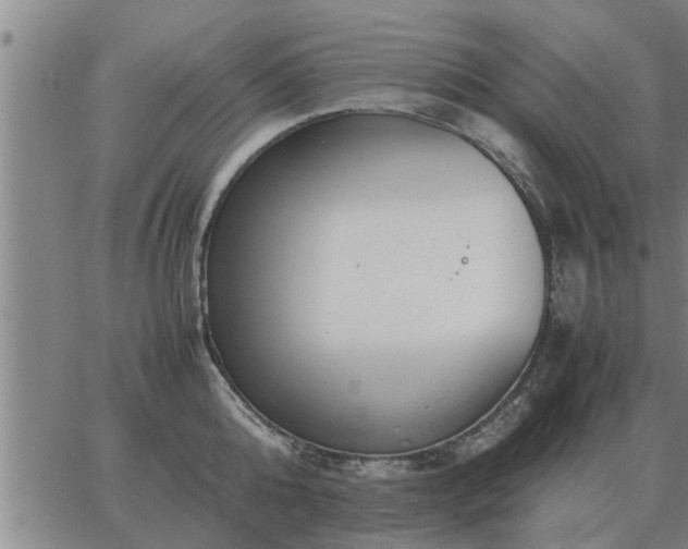 X0000062880808200601201818