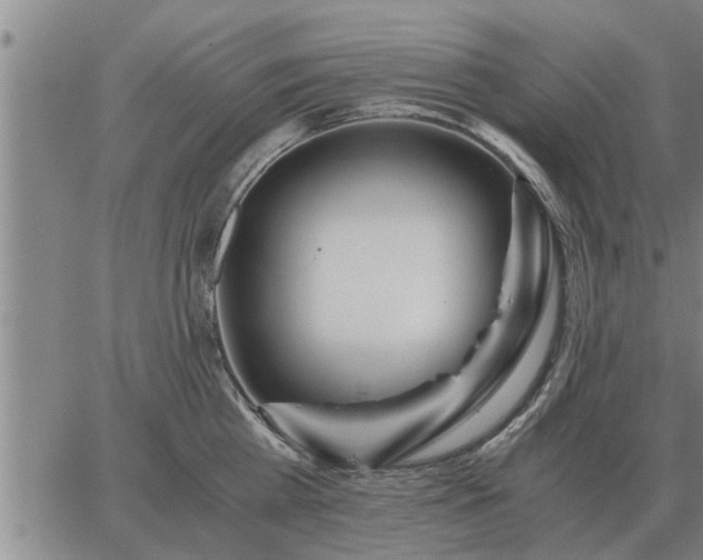 X0000062880809200601201818