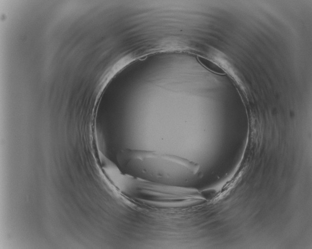 X0000062880810200601201818