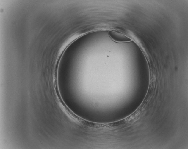 X0000062880811200601201818