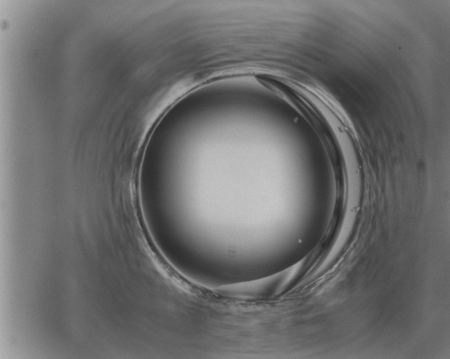 X0000062880813200601201818