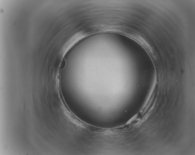 X0000062880814200601201818