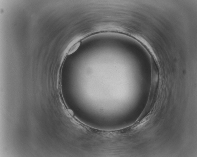 X0000062880815200601201818