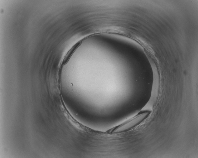 X0000062880816200601201818