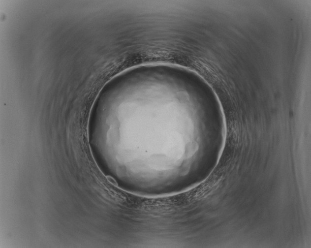 X0000062880817200601201817