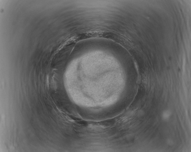 X0000062880818200601201817