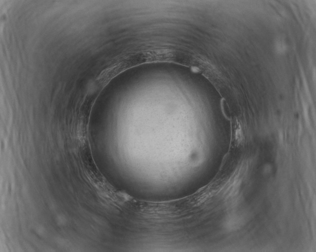 X0000062880819200601201817