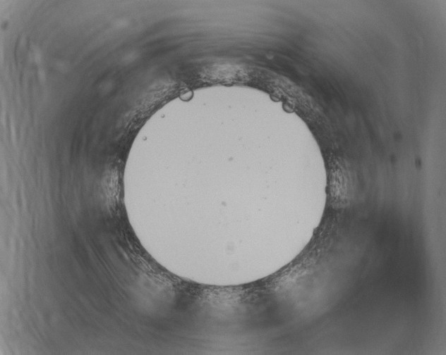 X0000062880820200601201817