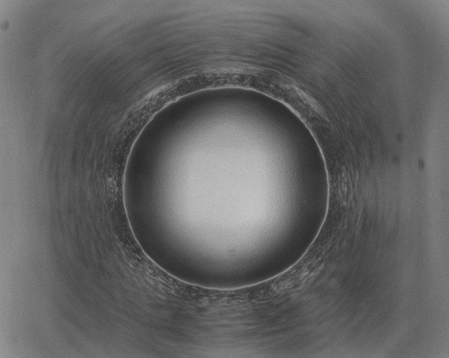 X0000062880821200601201817