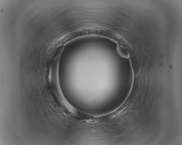 X0000062880822200601201817