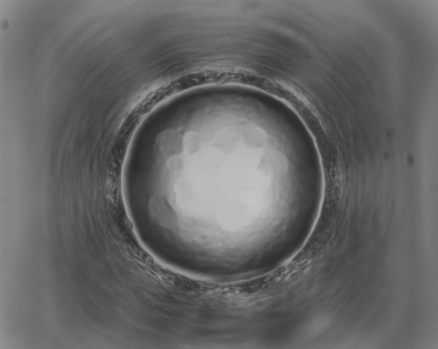 X0000062880823200601201817