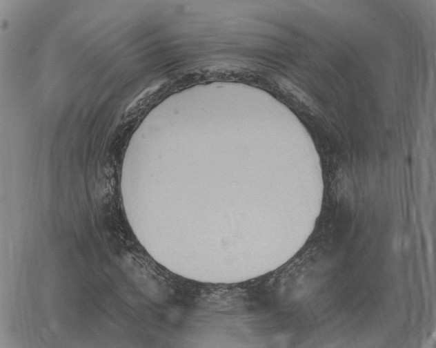 X0000062880824200601201817