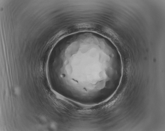 X0000062880825200601201817