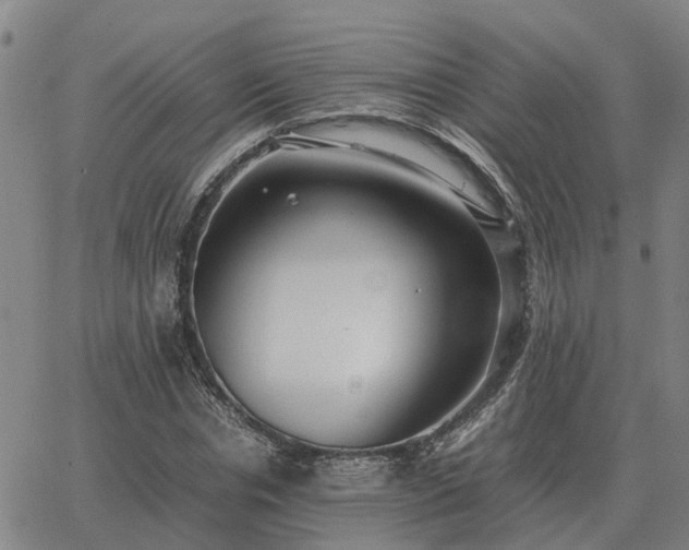 X0000062880826200601201817