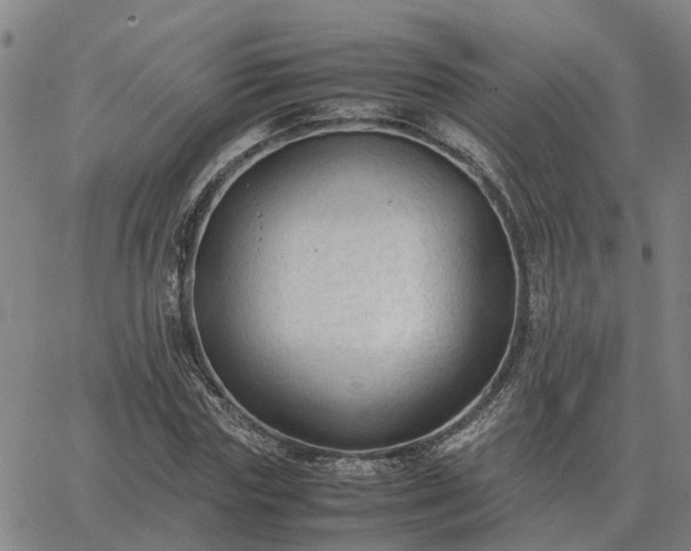 X0000062880827200601201817