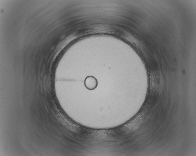 X0000062880828200601201817