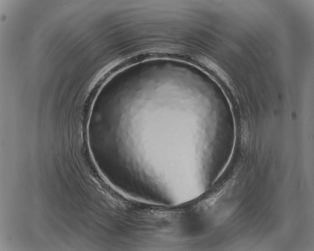 X0000062880829200601201817