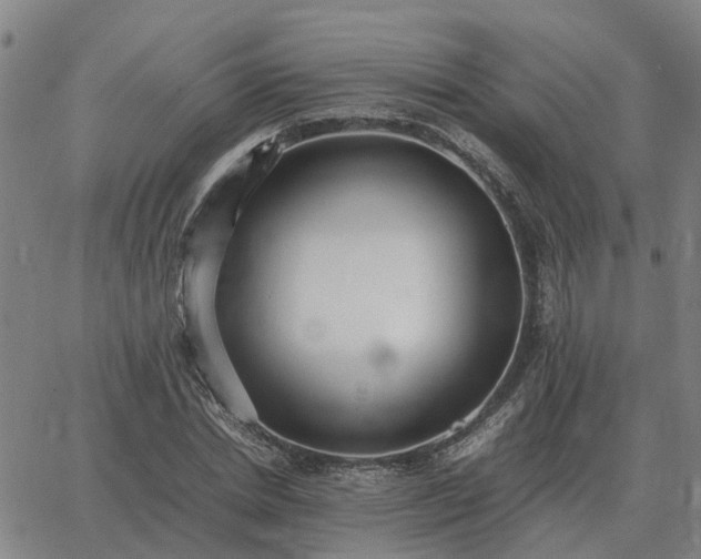 X0000062880830200601201817