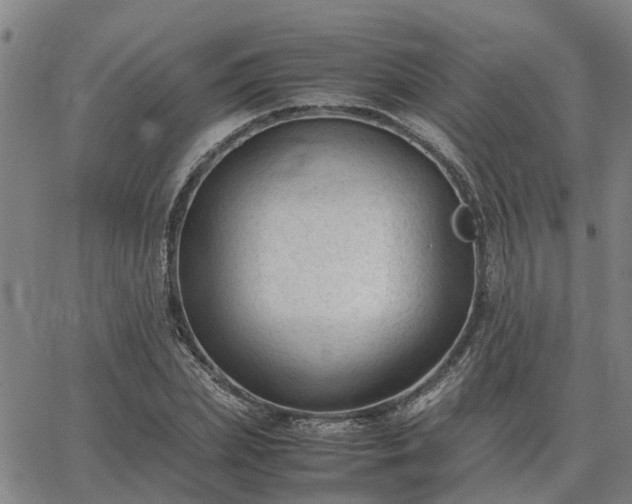 X0000062880831200601201817