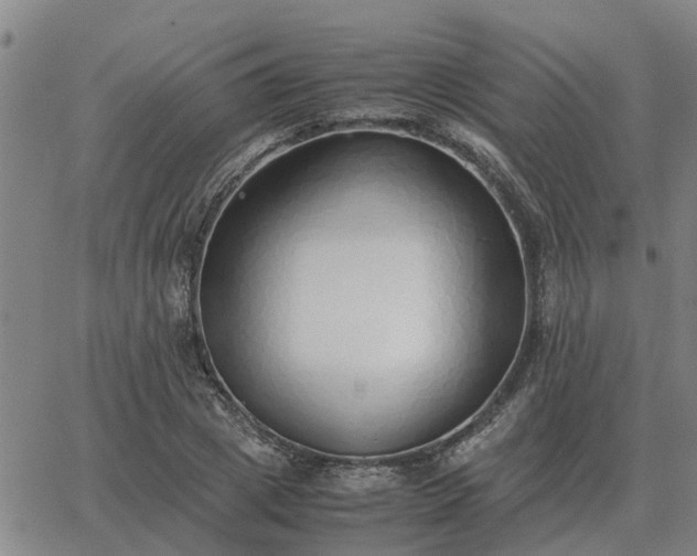 X0000062880833200601201817