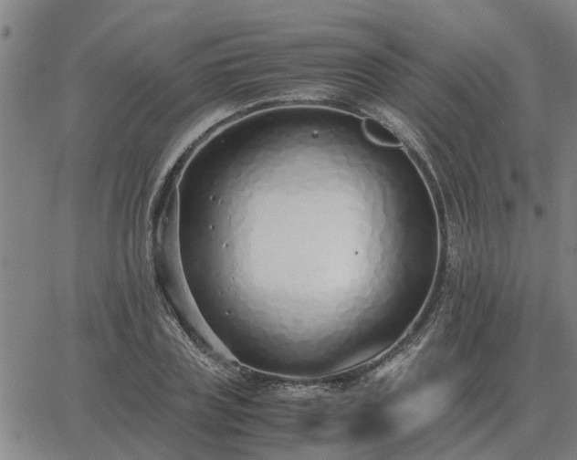 X0000062880835200601201817