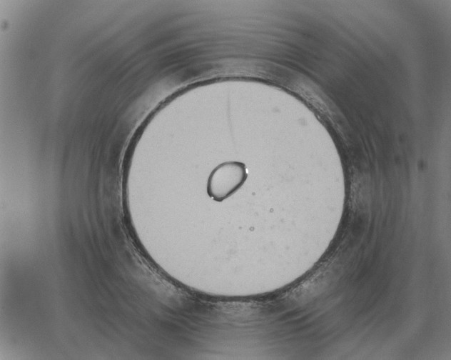 X0000062880836200601201817