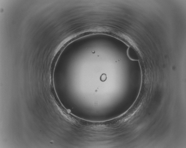 X0000062880837200601201817