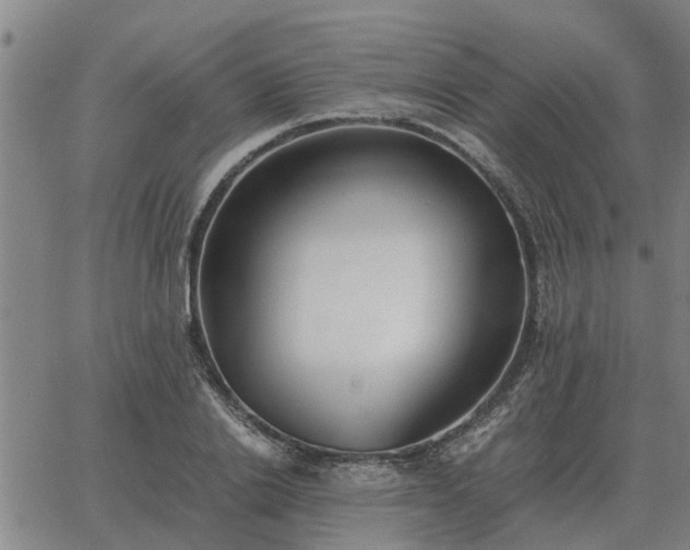 X0000062880838200601201818