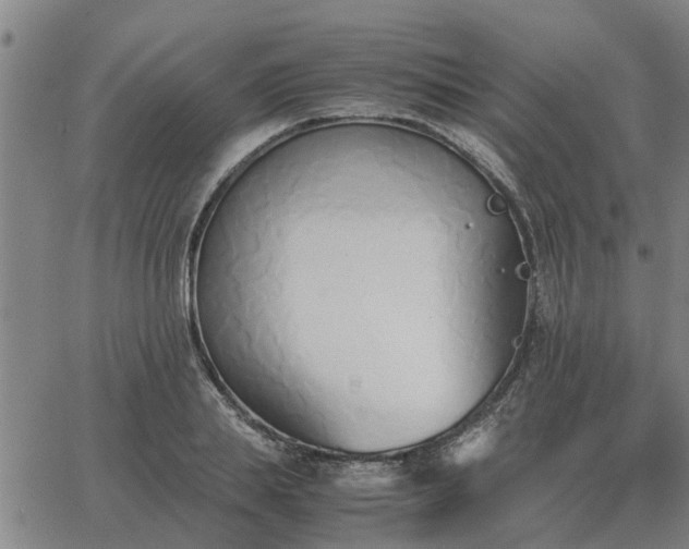 X0000062880839200601201818