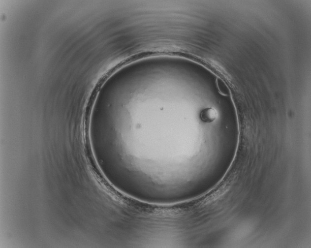 X0000062880840200601201818