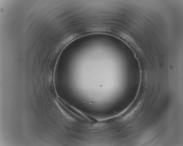 X0000062880841200601201818