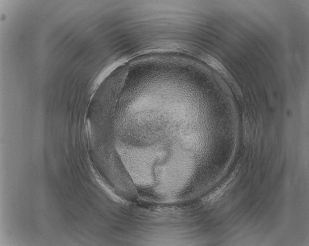 X0000062880842200601201818