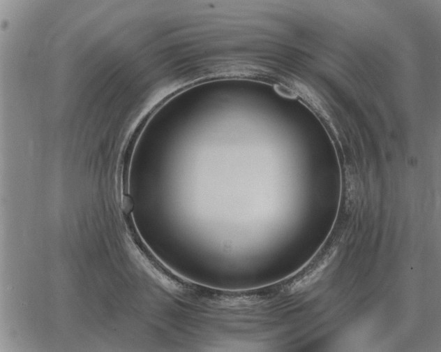 X0000062880843200601201818