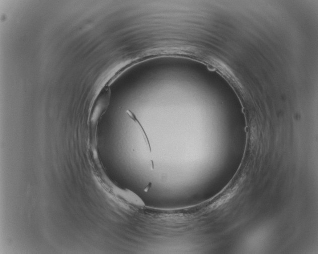 X0000062880844200601201818