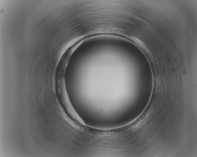 X0000062880846200601201818