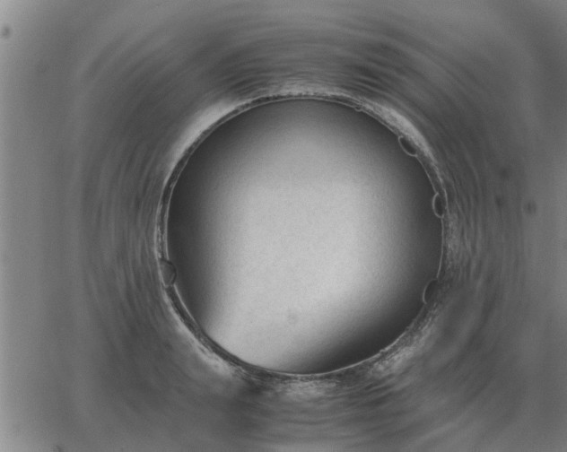 X0000062880847200601201818