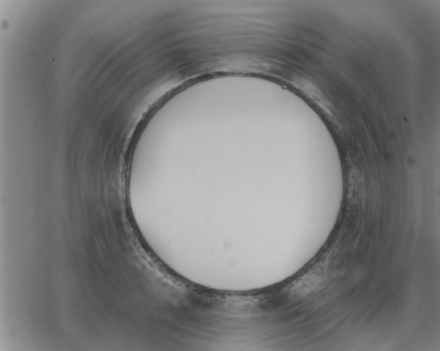 X0000062880848200601201818