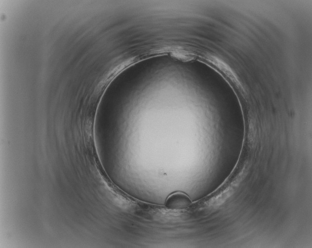 X0000062880849200601201818